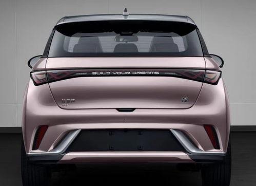 比亚迪海豚爆料视频最新,时尚智能小车，性能与颜值并重  第2张